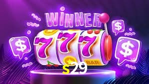 Experiência VIP s29